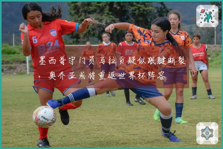 墨西哥守门员马拉贡疑似跟腱断裂，奥乔亚或将重返世界杯阵容