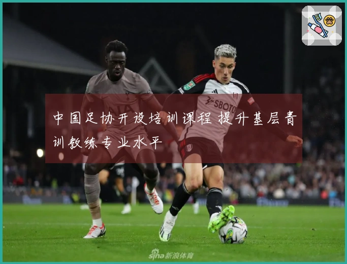 中国足协开设培训课程 提升基层青训教练专业水平