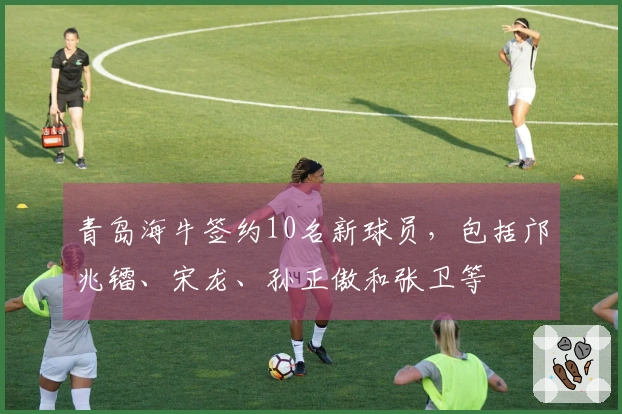 青岛海牛签约10名新球员，包括邝兆镭、宋龙、孙正傲和张卫等
