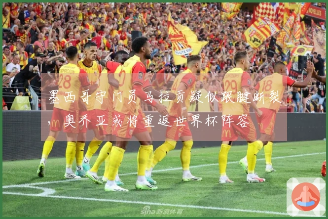 墨西哥守门员马拉贡疑似跟腱断裂，奥乔亚或将重返世界杯阵容